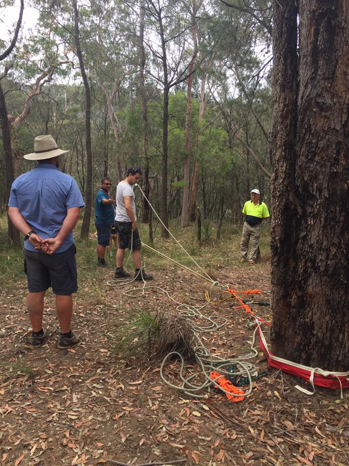 Vertical Rescue Day 14