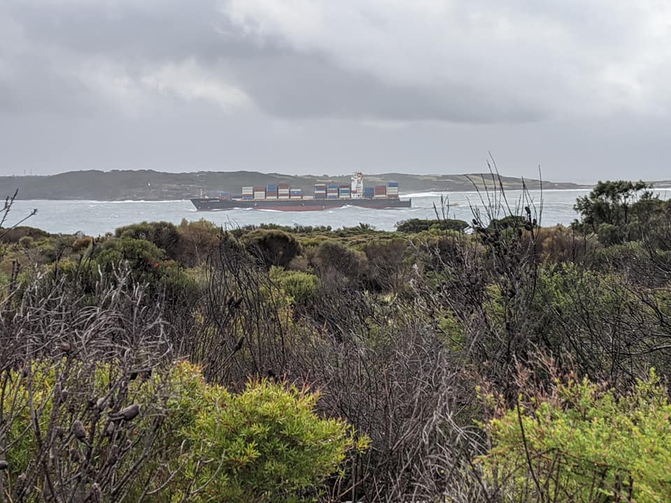 Kurnell Bushwalk 06